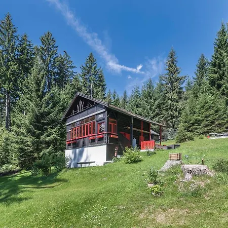 Alpenhutte - Uber Den Dachern Von Holiday home